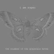 The Slumber Of The Grayscale Moths