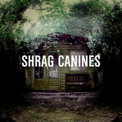 Show Us Your Canines by Shrag