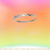 Head In The Clouds Forever - Single