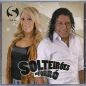 Solteirões do Forró, Vol.4