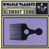 Digable Planets - Blowout Comb Artwork