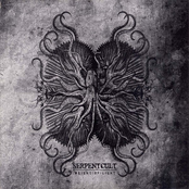 2008 Weight Of Light