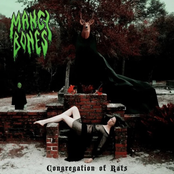 Congregation Of Rats