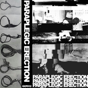 Paraplegic Erection