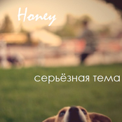 Серьёзная Тема