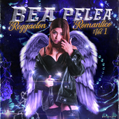Reggaeton Romantico Vol 1 Album Picture