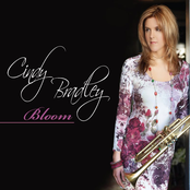 Cindy Bradley: Bloom