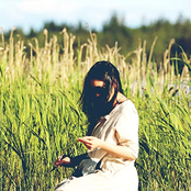 Into the Bamboo