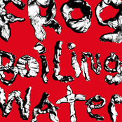DIIV: Frog in Boiling Water