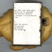 Dentro De La Gravidad