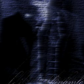 The Milkmen Who Curse in Stereo