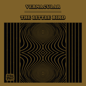 Vernacular: The Little Bird