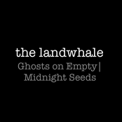 Ghosts On Empty | Midnight Seeds