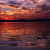 The Night Has Never Been So Bright