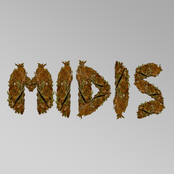 MIDIS