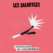 Les qualitats de l'adolescència