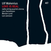 Seven Days Of Falling by Ulf Wakenius