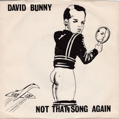 Not That Song Again