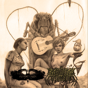 Split single w/ Dinozauras