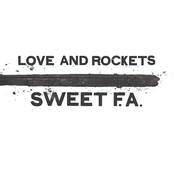 Words Of A Fool by Love And Rockets