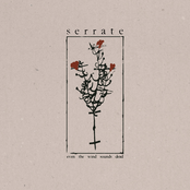 Even the Wind Sounds Dead