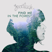 Find Me in the Forest