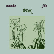 Sim - Single