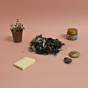 Electric Voice Compilation