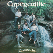 The Little Cascade by Capercaillie