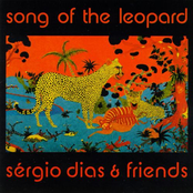 Song of the Leopard