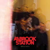 Allbrook Station: Bruises