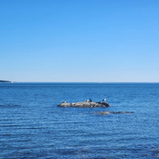 Kitsch and the Foible