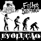 Evolução