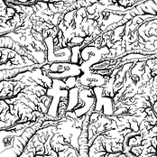 Kalla döda drömmar