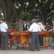 Marimba Del Estado De Oaxaca