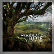 Safe Here by Woodland Choir