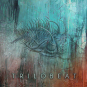 Trilobeat