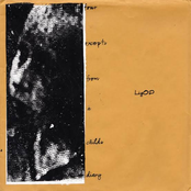 Four Excerpts from a Child's Diary