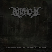 Dimensions Of Mephitic Decay