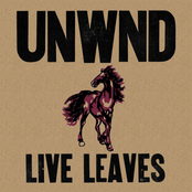 Lifetime by Unwound