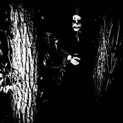 Bloodmoon Exsanguination