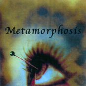 Metamorphosis