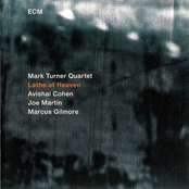 Year Of The Rabbit by Mark Turner Quartet