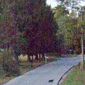 Special World: Elowyn EP