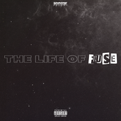 The Life Of Fuse
