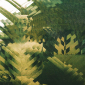 Mandy, Indiana: Bottle Episode