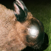 Little Image: KILL THE GHOST