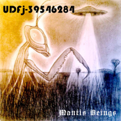Mantis Beings