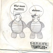 Turtles +