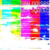 Sex Noises